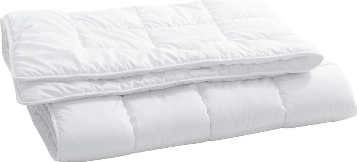 Image du produit Billerbeck Edition Seta (600 g, 160 x 210 cm)