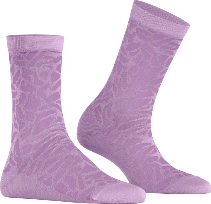 Image du produit Falke Creole SO (41 - 42)