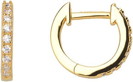 Xenox Gold Creolen (Silber 925)