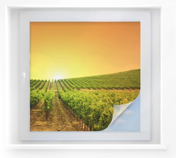 Produktbild Trenddeko Sonnenuntergang im Weinberg (60 x 60 cm)