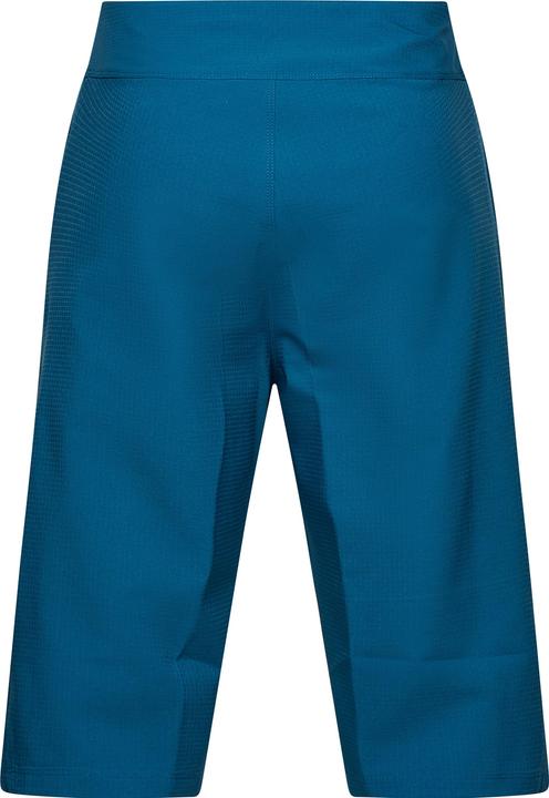 Actual product image Fox Defend Short (Frequency band 38 (2600 MHz))
