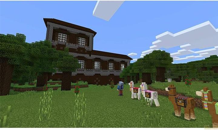 Actual product image Mojang Minecraft (PS3, EN)