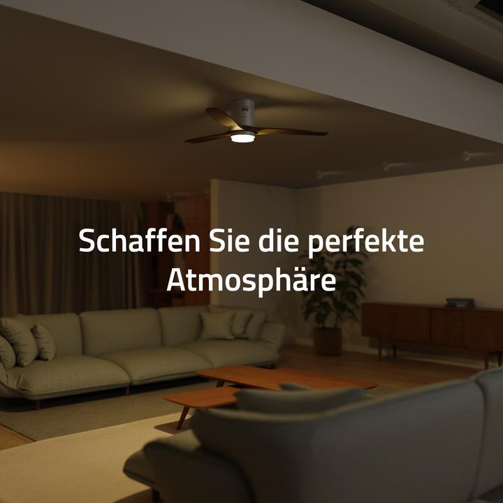 Actual product image Hombli Deckenventilator mit Licht (43 dB)