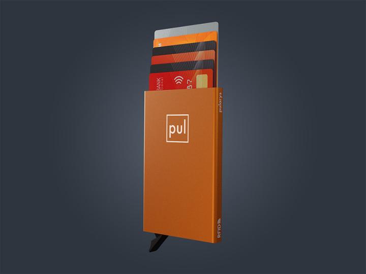 Actual product image Pularys Card Holder ZEN RFID