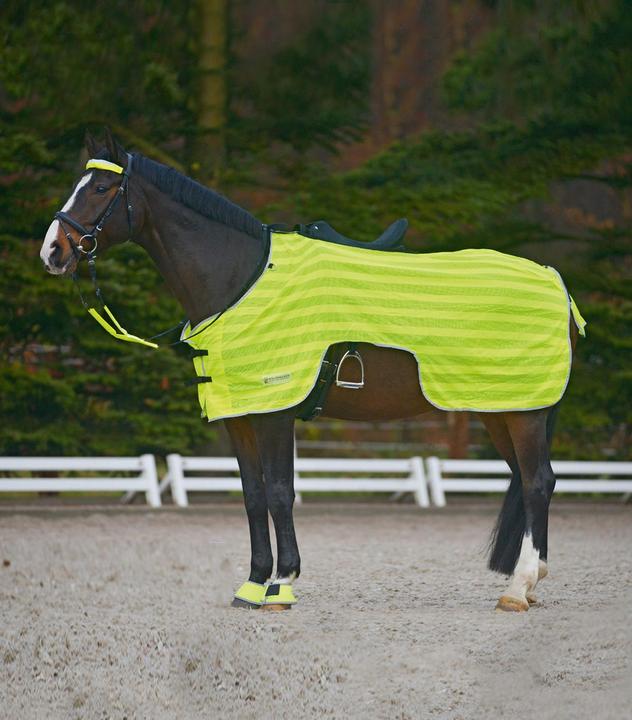 Immagine prodotto Waldhausen Tappeto da equitazione Reflex (125 cm)