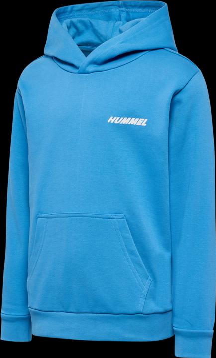 Actual product image hummel hmlCASPER HOODIE (110)