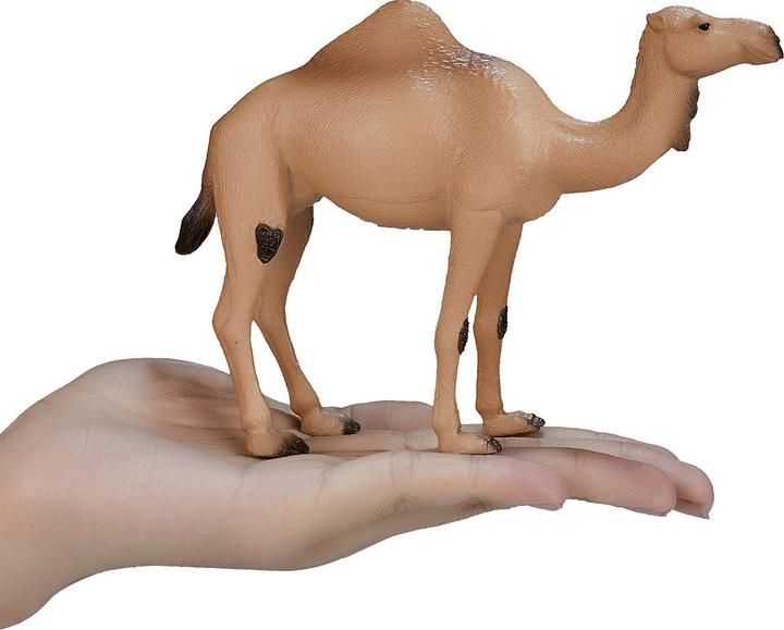 Produktbild Animal Planet Dromedar