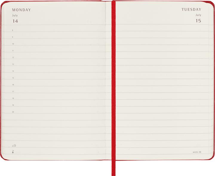 Actual product image Moleskine Daily calendar (Pocket, A6, English)