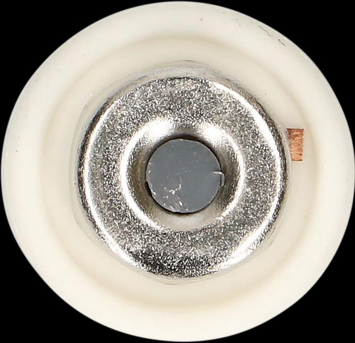 Actual product image Max Hauri Fuse DT (16 A, Lazy)