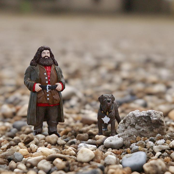 Actual product image Schleich Hagrid & Fang