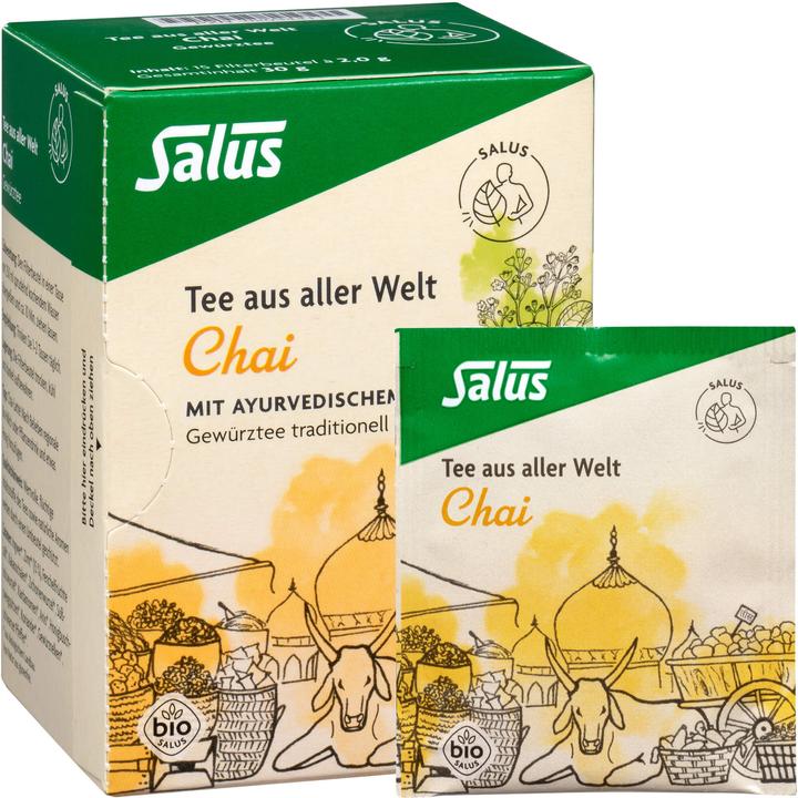 Produktbild Salus Chai-Tee bio, 15 St. Filterbeutel (30 g)