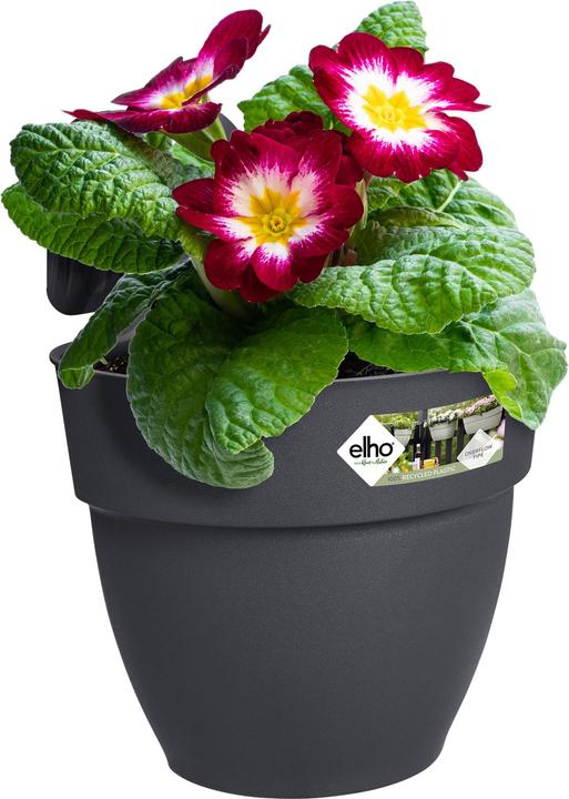 Actual product image Elho Blumenschale (24 cm)