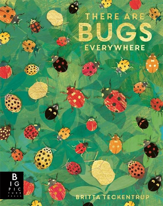 Produktbild Murray:There Are Bugs Everywhere (Englisch, Lily Murray, Britta Teckentrup, 2022)