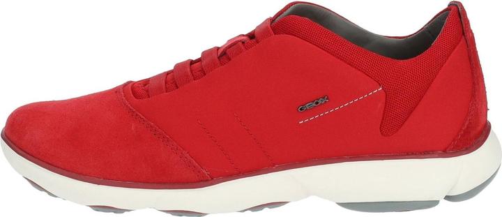 Actual product image Geox Sneaker (40)