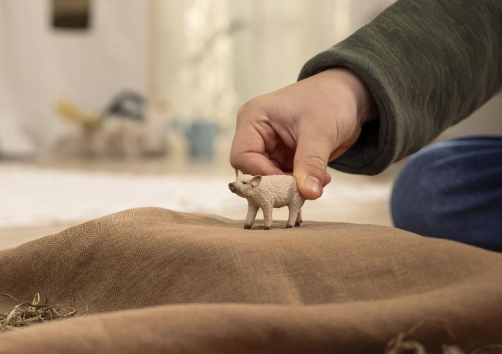 Actual product image Schleich Wool Pig Piglet