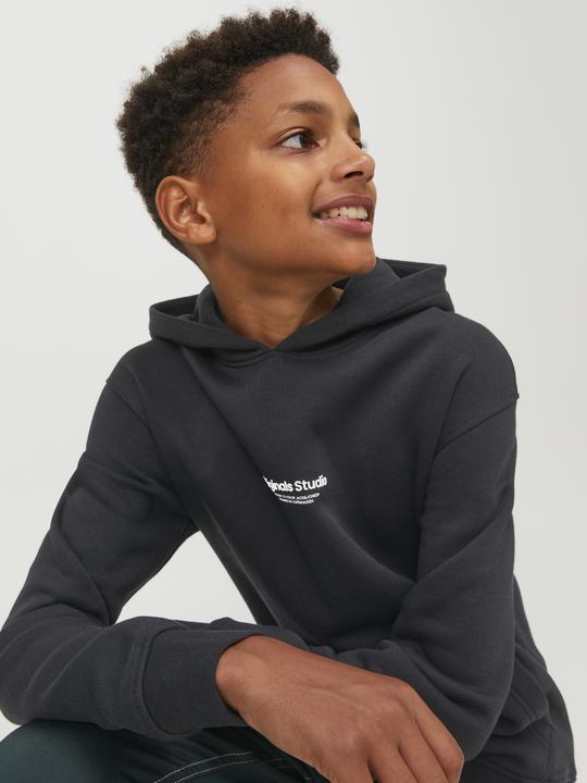 Actual product image Jack & Jones Jorvesterbro Sweat Hood Noos Mni (128)