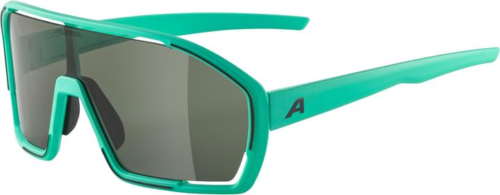 Produktbild ALPINA SPORTS Bonfire (Grün, Grau)