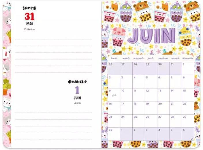 Image du produit Auzou France Mon année super kawaii 2024-2025 : avec des stickers inclus! (Français)