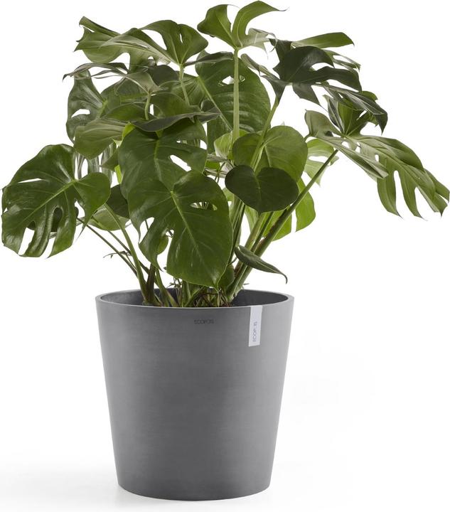 Produktbild Ecopots Amsterdam (60 cm)