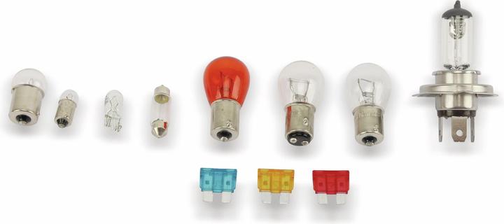 Actual product image Dunlop Lamp set (H4)