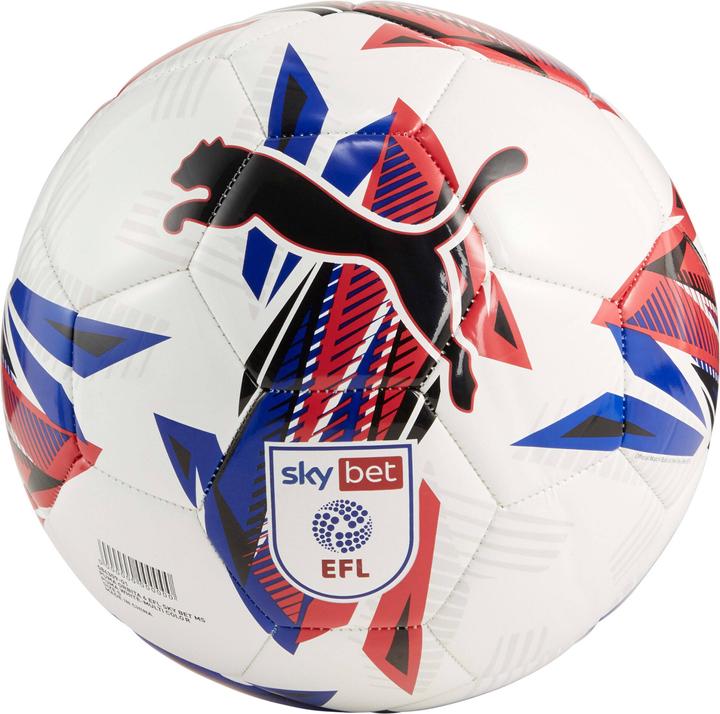 Puma Orbita 6 EFL Sky Bet Trainingsfussball 2024/25 (5)