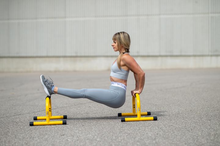 Actual product image Lebert Fitness Parallettes