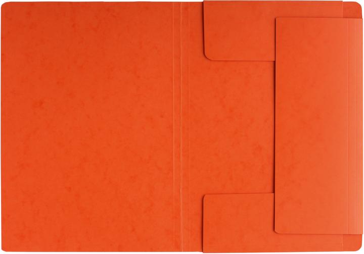 Actual product image Pagna Rubber band folder (A4, 1 x)
