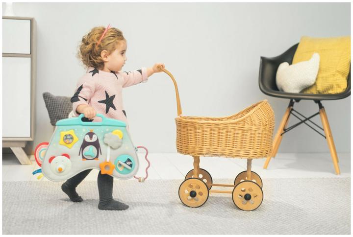 Produktbild Taf Toys Nordpol
