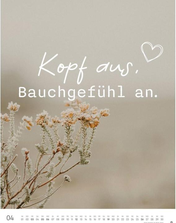 Produktbild Visual Statements Posterkalender 2026 (34 x 44 cm, Harter Einband, Deutsch)