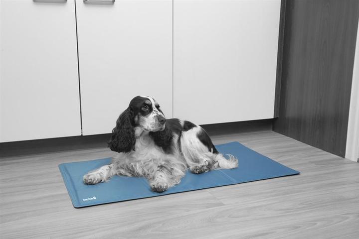 Image du produit Beeztees Tapis de refroidissement Quick (Chien)