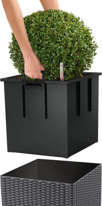 Actual product image Lechuza Cube Cottage (49 cm)