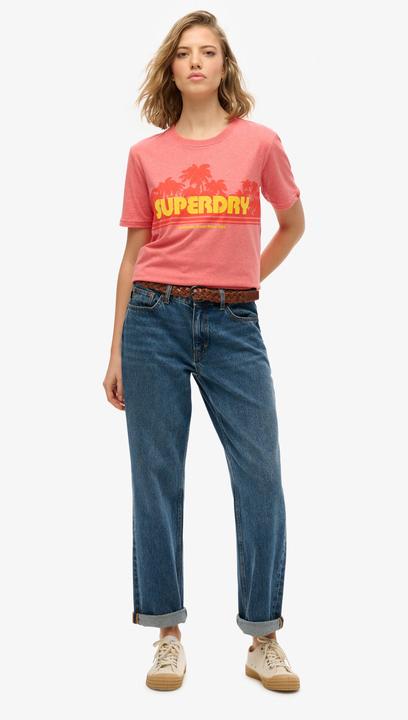 Actual product image Superdry Outdoor Stripe Relaxed Tee (10)