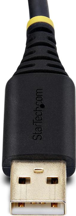 Image du produit StarTech COM 3m USB vers série Adaptateur COM Rétention FTDI USB-A vers DB9 Câble USB RS232 Interchangeable (3 m)