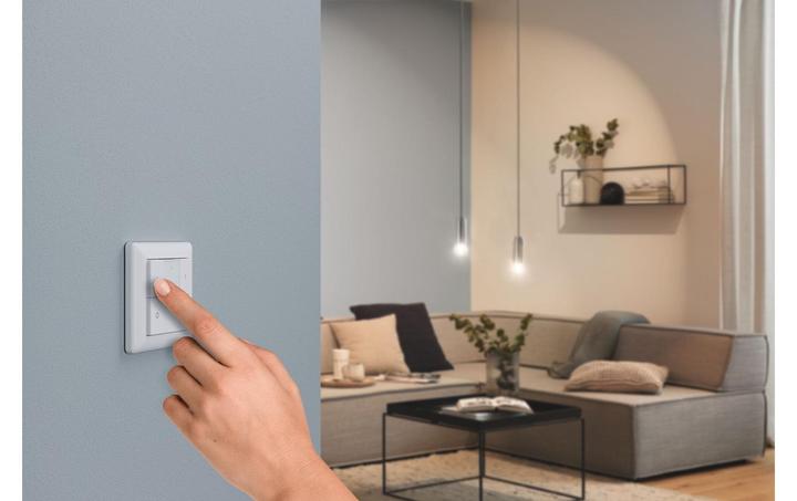 Produktbild Paulmann Smart Home Switch