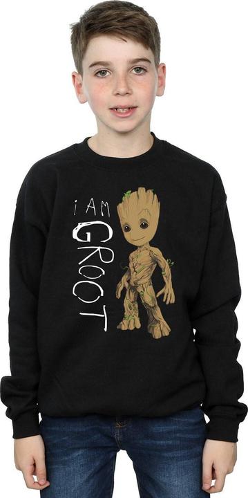 Produktbild Guardians Of The Galaxy I Am Groot Scribbles Sweatshirt Jungen (152, 158)