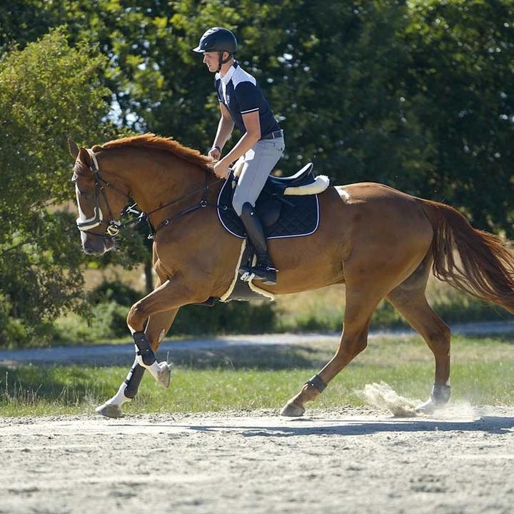 Image du produit Kavalkade Bottes d'équitation en cuir Maximus pour femmes (39)