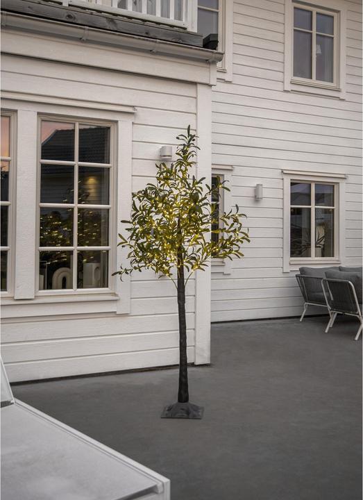 Produktbild Star Trading Dekorationsbaum Olivec, 178 LEDs, 180 cm, Grün (56 lm, IP44)