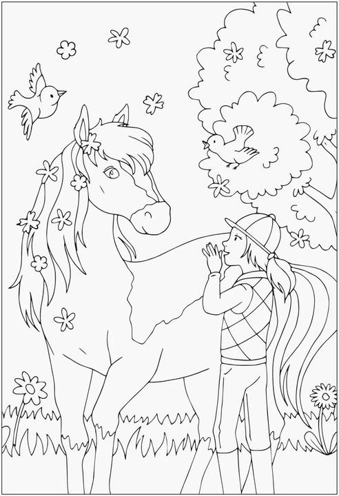 Image du produit Ravensburger Chevaux - colorier et rêver - 24 coloriages pour les enfants à partir de 6 ans - motifs pour