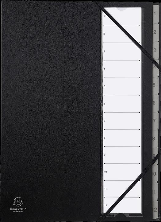 Image du produit Exacompta Dossier de classement (A4, 1 x)