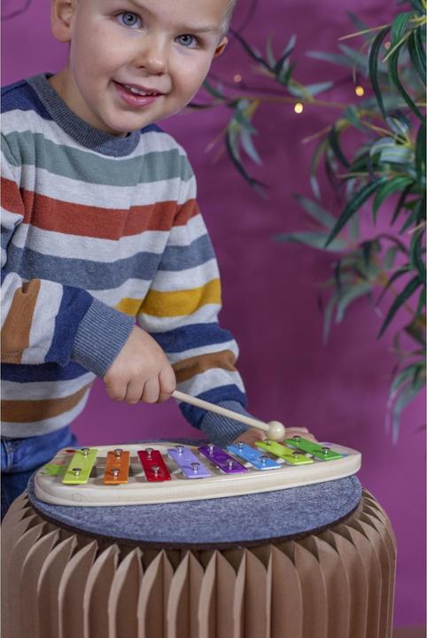 Actual product image Eichhorn Xylophone (German)