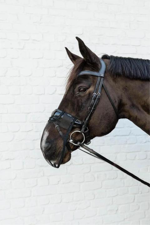 Actual product image Kentucky Horsewear Anti-fly Mask