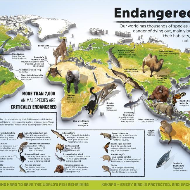 Produktbild What/'s Where on Earth (Englisch, DK, 2021)