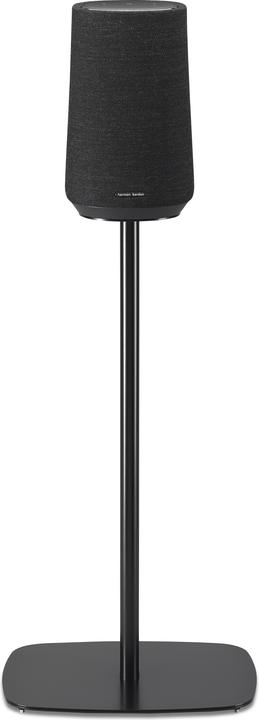 Actual product image SoundXtra Stand for Harman Kardon Citation 100 (1 pcs., Stand)