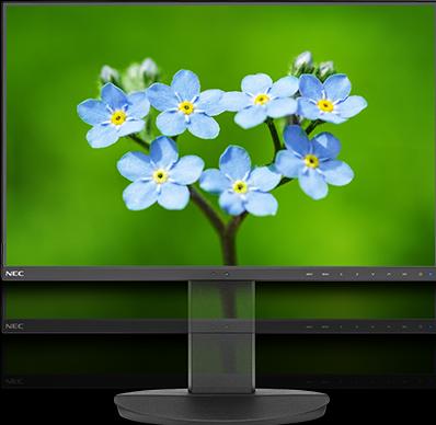 Immagine prodotto NEC EA231WU (1920 x 1200 pixel, 22.50")