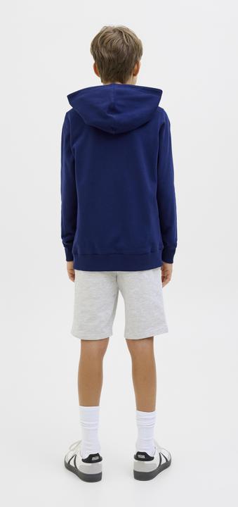 Image du produit Jack & Jones Jpstswift Sweat Shorts Aut Sn Jnr (164)