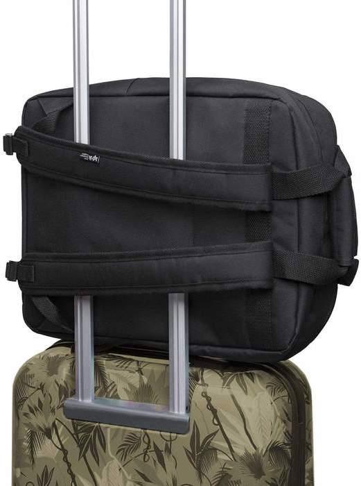 Actual product image Lefrik Daily (12 l)