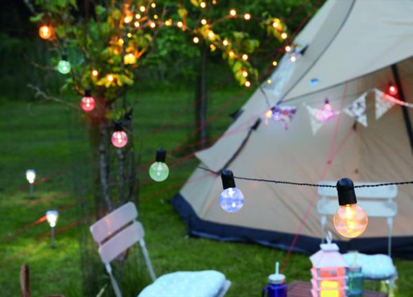 Actual product image Century Fiesta fairy lights multicolour 5.16 metres (51.60 m)
