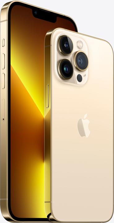 Actual product image Apple iPhone 13 Pro Max (512 GB, Gold, 6.70", SIM + eSIM, 12 Mpx, 5G)