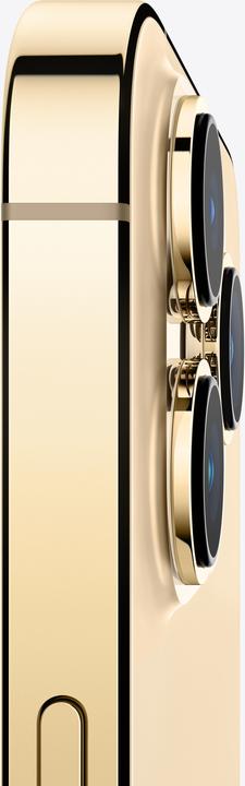 Actual product image Apple iPhone 13 Pro Max (512 GB, Gold, 6.70", SIM + eSIM, 12 Mpx, 5G)