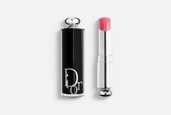 Image du produit Dior Addict Shine (373 Rose Celestial)